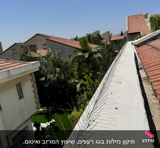 דוקרנים על גג למניעת ציפורים